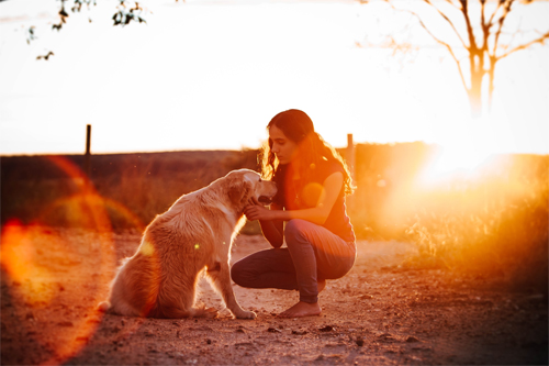 Frau und Hund im Sonnenuntergang -Quelle: Unsplash https://unsplash.com/de/fotos/AJe5BEybfXE